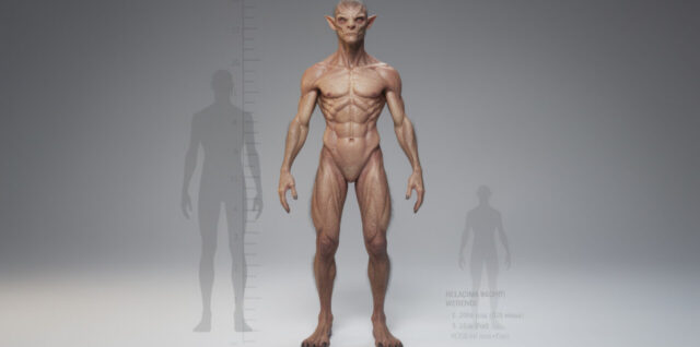découvrez la morphologie de werenoi et comprenez en détail sa taille et son poids pour mieux appréhender ses caractéristiques physiques.