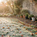 Quels 6 travaux d’automne choisir pour protéger le jardin avant le gel ? Jardin familial en automne au petit matin, avec une légère gelée sur la pelouse, des massifs paillés, des feuilles rousses et des plantes en pots regroupées contre un mur.